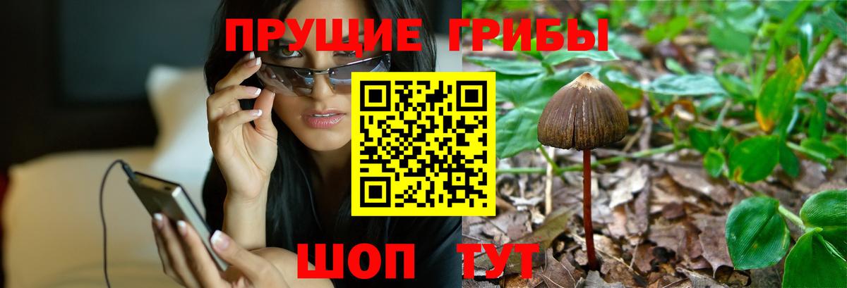Псилоцибиновые грибы Magic Shrooms  Вход с VPN  Добрянка 
